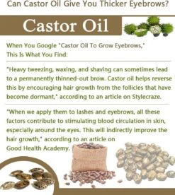 Your Beauty Tree ® Wimper Serum Met Echte Castor Olie |100% Natuurlijke Wimpergroei| Castor Oil Eyelash Serum|Wonder Olie | Wimper Groei | Wenkbrauw Serum | Lash Serum | Wimper Groeimiddel 13 Your Beauty Tree ® Wimper Serum Met Echte Castor Olie |100% Natuurlijke Wimpergroei| Castor Oil Eyelash Serum|Wonder Olie | Wimper Groei | Wenkbrauw Serum | Lash Serum | Wimper Groeimiddel -Cosmetica Serie Winkel 1075x1200