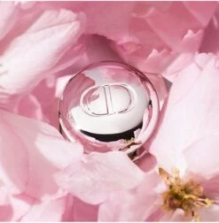 Merkloos Dior Addict Lip Maximizer Lipgloss - 012 Rosewood - Lipgloss - 6 Ml - 24 Uur Zichtbaar Effect -Deluxe - Gewild - Snel Uitverkocht - Rituals - Beste Getest Uit De Consumentenbond - Let Op: Op = Op -Cosmetica Serie Winkel 1175x1200