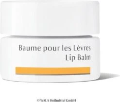 Dr. Hauschka Dr. Hauschka Lip Balm 4,5 Ml 11 Dr. Hauschka Dr. Hauschka Lip Balm 4,5 Ml -Cosmetica Serie Winkel 1200x1018
