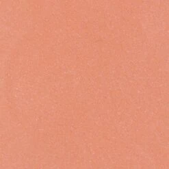 Blèzi® Lip Fix 10 Blissful Pink - Lipstick - Lippenstift Langhoudend - Roze Perzik -Cosmetica Serie Winkel 1200x1200 10