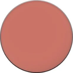 L'Oréal Paris True Match Blush - 145 Bois De Rose 41 L'Oréal Paris True Match Blush - 145 Bois De Rose -Cosmetica Serie Winkel 1200x1200 696