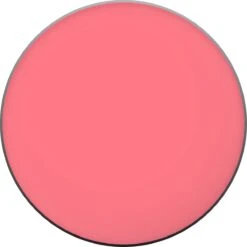 L'Oréal Paris True Match Blush - 165 Rose Bonne Mine -Cosmetica Serie Winkel 1200x1200 710