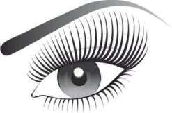 L’Oréal Paris Telescopic Mascara - Extra Zwart 3 Stuk 17 L’Oréal Paris Telescopic Mascara - Extra Zwart 3 Stuk -Cosmetica Serie Winkel 1200x791