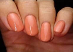 Pink Gellac - Nude Orange - Gellak - Vegan - Oranje - Glanzend - 15ml 19 Pink Gellac - Nude Orange - Gellak - Vegan - Oranje - Glanzend - 15ml -Cosmetica Serie Winkel 1200x859 1