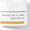 Dr. Hauschka Dr. Hauschka Lip Balm 4,5 Ml 1 Dr. Hauschka Dr. Hauschka Lip Balm 4,5 Ml -Cosmetica Serie Winkel 1200x926